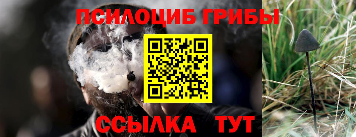 Галлюциногенные грибы GOLDEN TEACHER  Вход с VPN  Сочи 